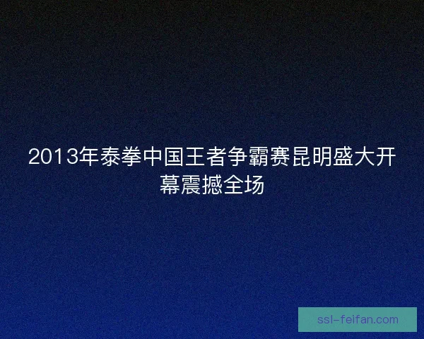 2013年泰拳中国王者争霸赛昆明盛大开幕震撼全场
